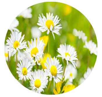 Un printemps en toute légèreté